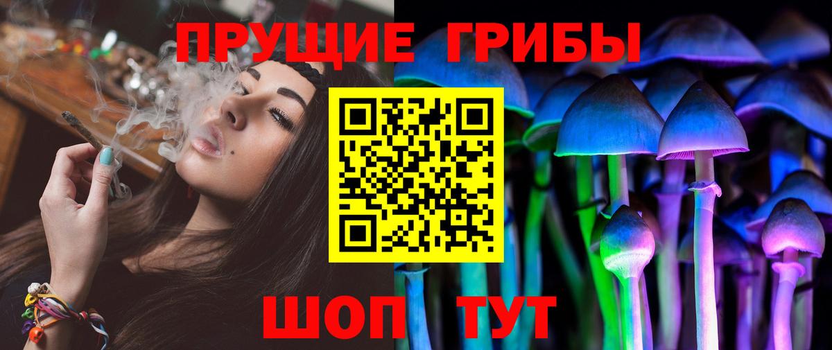 Псилоцибиновые грибы Psilocybe  Псилоцибиновые грибы прущие грибы  купить наркоту  Вход с VPN  Скопин 